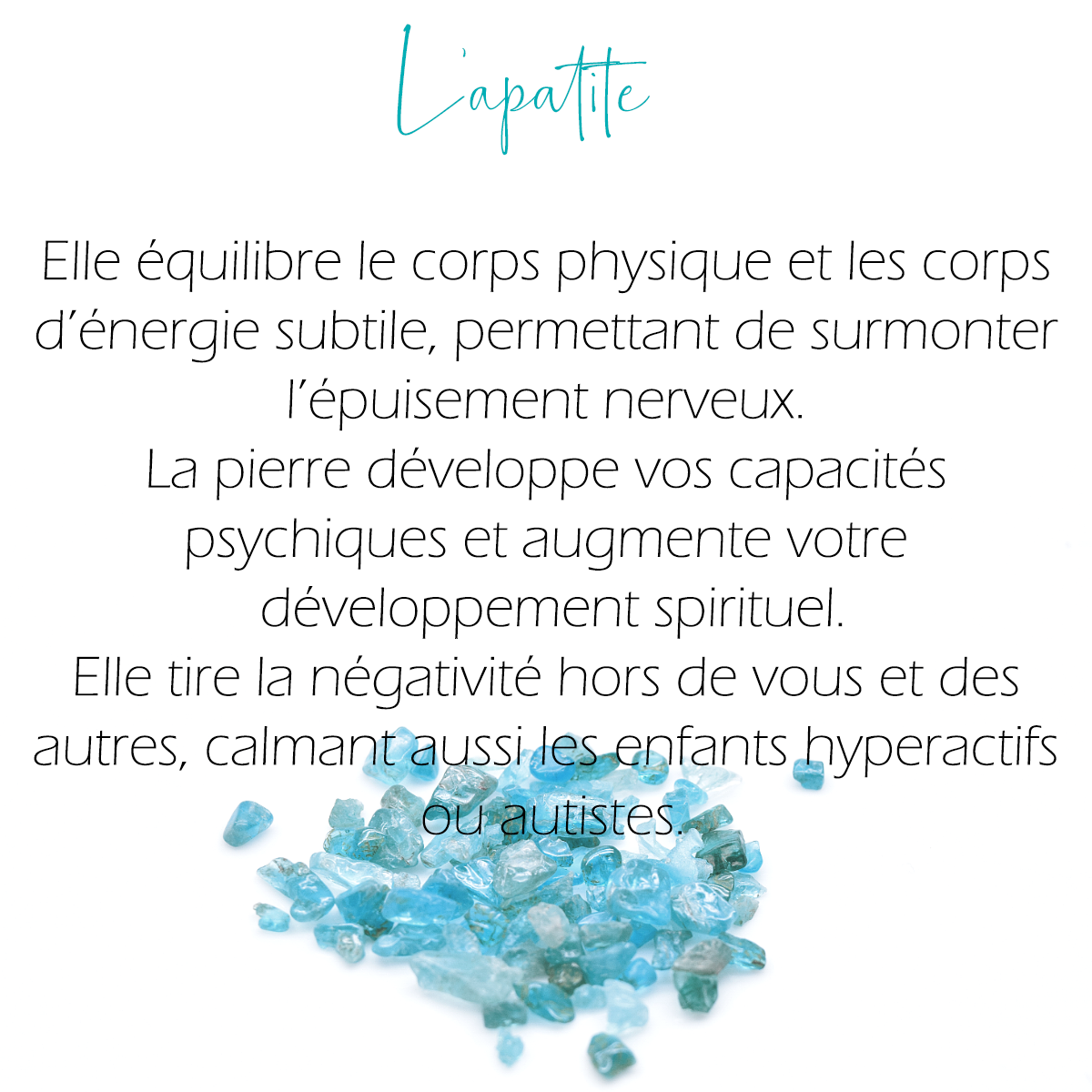 Moyen Chrysalide Érable gris + apatite, labradorite & pierre de lune