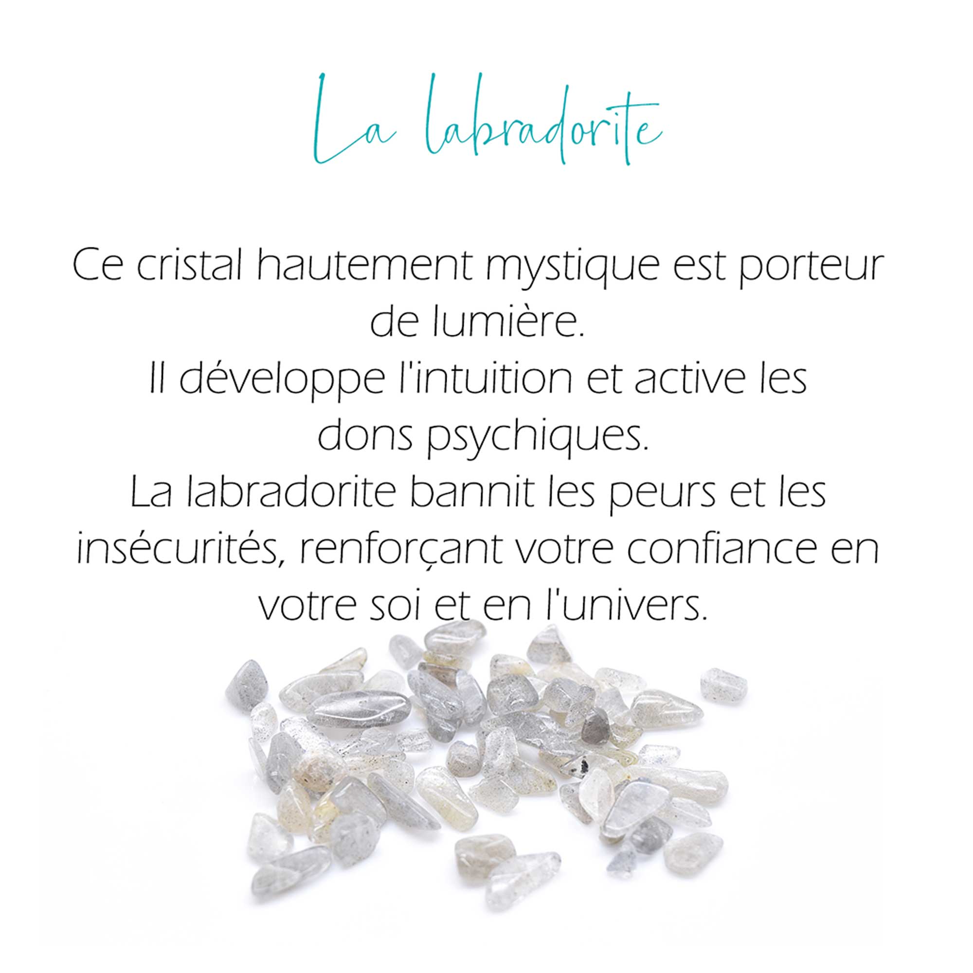 Moyen Chrysalide Érable gris + apatite, labradorite & pierre de lune