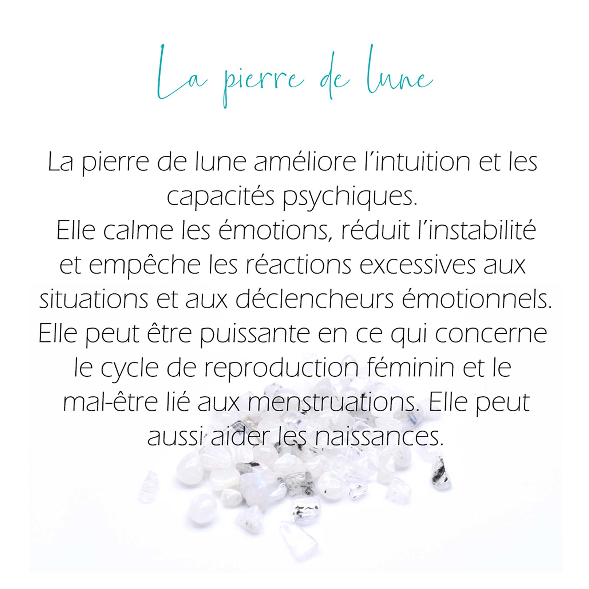 Moyen Chrysalide Érable gris + apatite, labradorite & pierre de lune